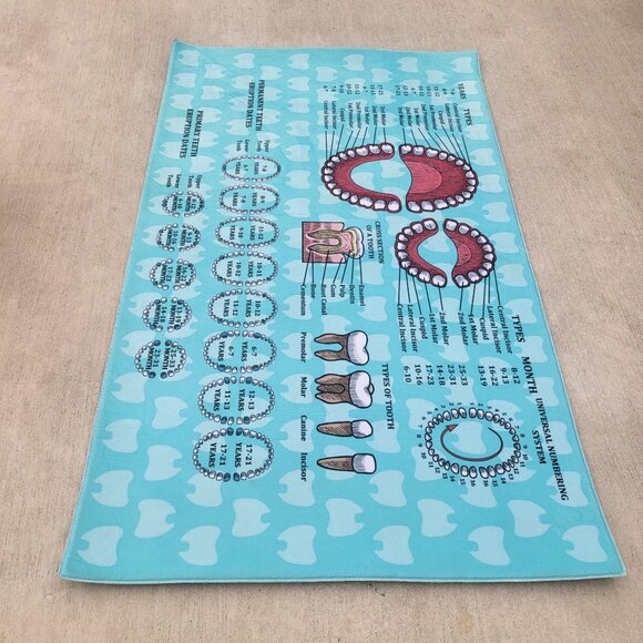 Orthodontist Chart Area Rug Dentist Mat - Picture 4 of 13